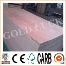 2mm - 25mm Comercial Decorativo Okoume Bintangor Poplar Birch Contraplacado folheado